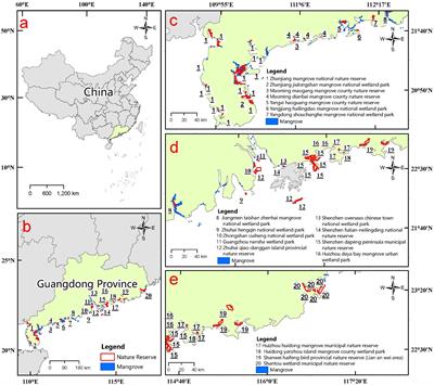 Health assessment of mangrove ecosystem of natural protected areas in Guangdong Province, China